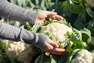 A Quick Word Re: Cauliflower Propaganda