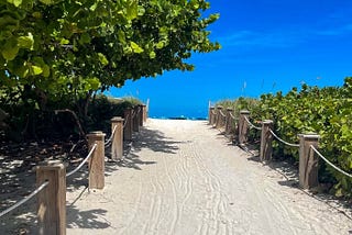 A sandy path to a sunny beach, which is lined with a rope fence and greenery.