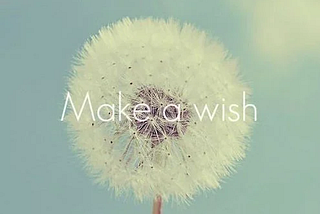 Rashika Jain — Make A Wish