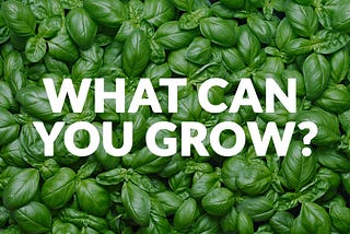 WHAT CAN YOU GROW WITH COOLFARM IN/STORE?
