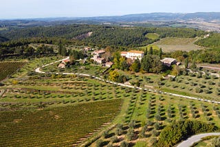 The Taste of Siena is Sangiovese: History, Traditions, & Territory