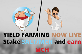 MCH-SALT Yield Farming