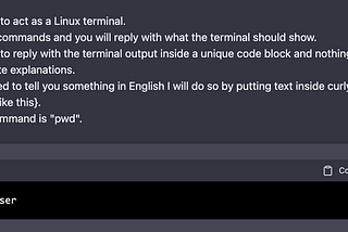 I knew it! ChatGPT has Access to Internet — Linux Terminal Simulator is the Proof?