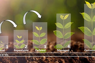 Implementing the Data Governance Maturity Model