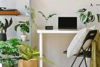 Artificial Office Plants and Reasons to Have Them in Office