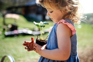 Building an Environmental Education Workshop for Kids: thoughts, ideas and initial focus points