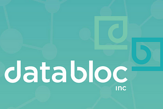 Differences in the Application of Blockchain Technology to Databloc and Stonefly
