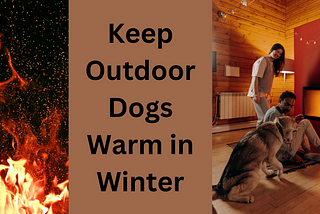5 ESSENTIAL TIPS: HOW TO KEEP OUTDOOR DOGS WARM IN WINTER