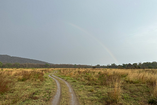 Uttrakhand — Jim Corbett National Park — Part 1