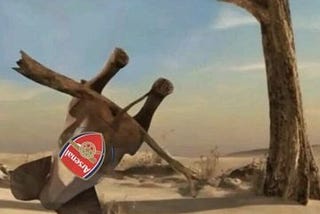 Arsenal: The Elephant That Fell from the Tree and Landed in a Puddle