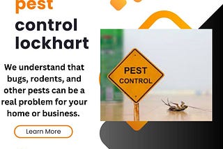 Reliable Pest Control in Lockhart, Texas: Keep Your Home and Business Pest-Free! 🛡️🐜