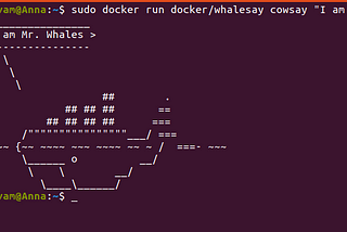 Starting with Docker-CLI