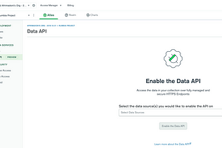 HTTP Access to MongoDB Database With Data API