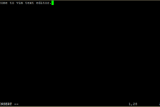 Script Yazmak için VIM Editörünün Yapılandırılması