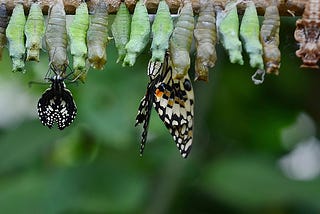 The Uncomfortable Inconvenience of Change