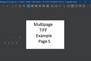 Experiment viewing multi-page TIF format!