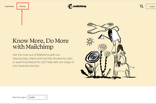 Email Marketing with Mailchimp (Accounts Part)
