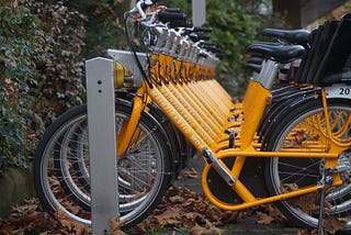 How Does a Bike-Share Navigate Speedy Success?