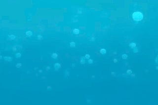 Las medusas o aguamalas, inesperadas amigas en aguas abiertas.