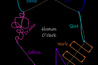 Human o’clock