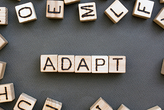 Software Engineerings Soft Skills Part 3 — Adaptability and Flexibility