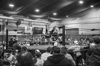 A Work of Love: The Hidden World of Pro Wrestling