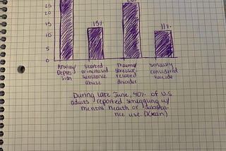 Mental Health During The Pandemic