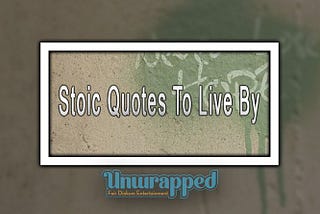 Top Stoic Quotes to Follow in Life