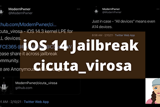 iOS 14 jailbreak with cicuta_virosa