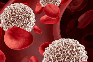 What are white blood cells?