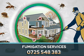 Pest control is essential for maintaining a healthy and safe environment, and PestPro’s Fumigation Service in Nairobi, Kenya offers the perfect solution.