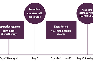 Myeloma Chronicles — BMT