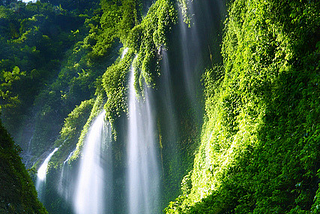 Madakaripura Waterfall in East Java, Indonesia