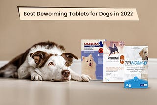 Best Deworming Tablets for Dogs