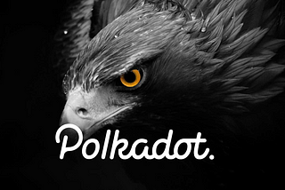 Polkadot (DOT): 10 Things You NEED TO KNOW