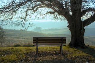 A simple wooden bench beneath a broad tree overlooking gently rolling hills at sunrise, symbolizing the abundance found in stillness, spaciousness, and a slower way of living.