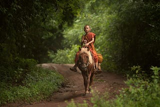 Lessons of a lost horse when finding its way home