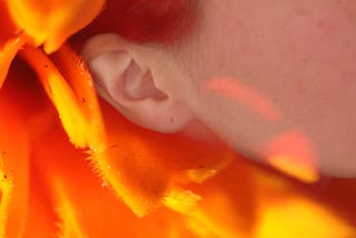 A woman’s ear against bright orange flower petals.