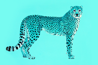 Helmut Koller’s Colorful Animal Kingdom