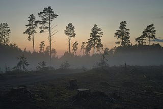 From Ashes to Action: Healing the Scars of the First 100 Days