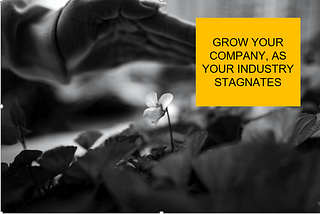 Grow your company, as your Industry stagnates