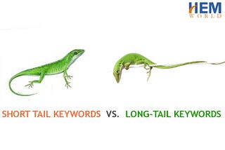 Short tail keywords vs.