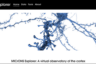 Multiscale and multimodal reconstruction of cortical structure and function