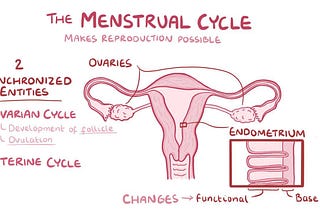 Flowing Creativity: The Connection Between Menstrual Cycles and Artistic Expression