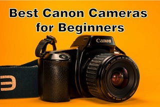 Best Canon Cameras for Beginners