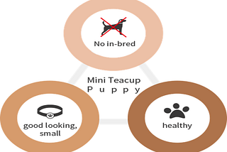 Teacup Puppy give birth to pretty and healthy puppies