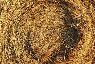 Finding needle in a haystack