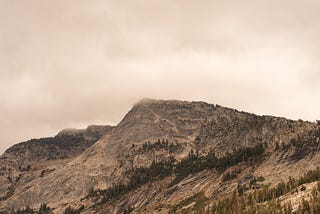 Money as Medicine for Our Planet