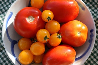 How to Save Tomato Seed