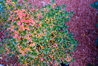 Automated AI to ruin your brand.